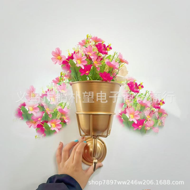 跨境新品Opal Wall Vessel挂钩花盆架一体金属创意壁挂家居装饰品|undefined
