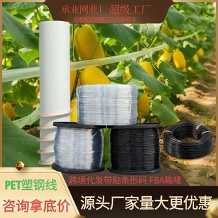 �F؛��������PET������Ļ�� �m��춴����r�I���Ѽ� ��ꖾW ���K��