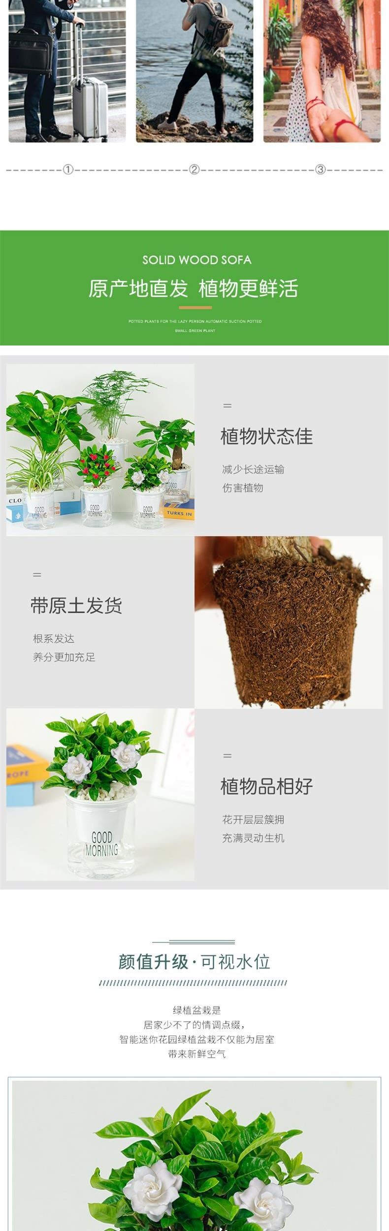 O1CN01oZeU2r1lcJc58GZ1h_!!2219697154839-