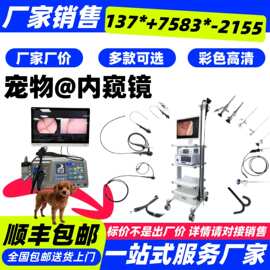 宠物内窥镜一般多少钱-猫犬等宠物电子镜设备 电子内窥镜厂家