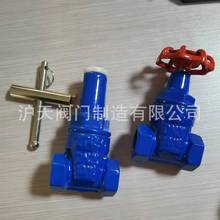 沪天阀门丝口表前阀Z15X