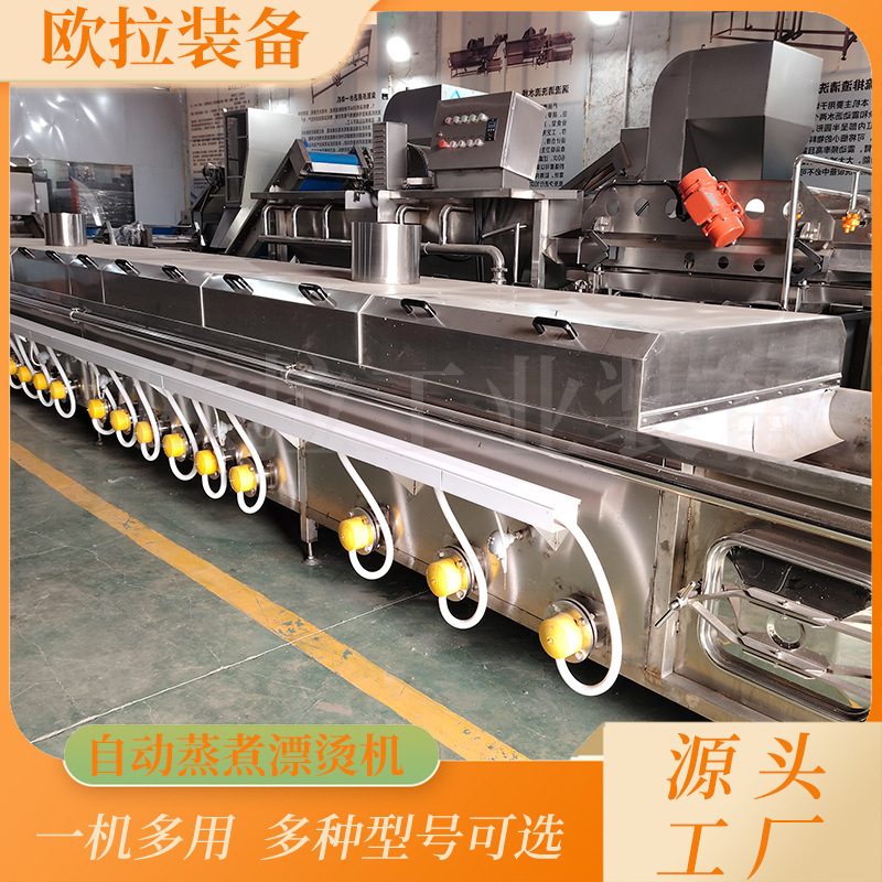 全自动果蔬漂烫机 全自动巴氏杀菌流水线 魔芋爽果冻巴氏杀菌机