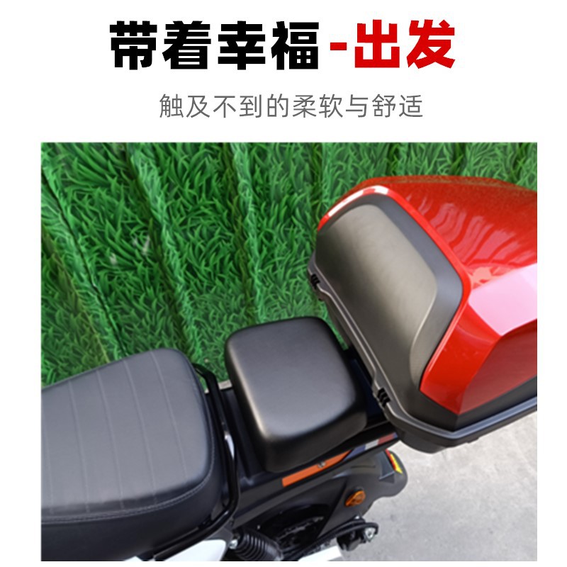 Suitable for New National Standard Electric Vehicle Modification and Extended Small Seat Cushion Rear Seat Cushion Saddle Yadi Emma Black Sponge Cushion