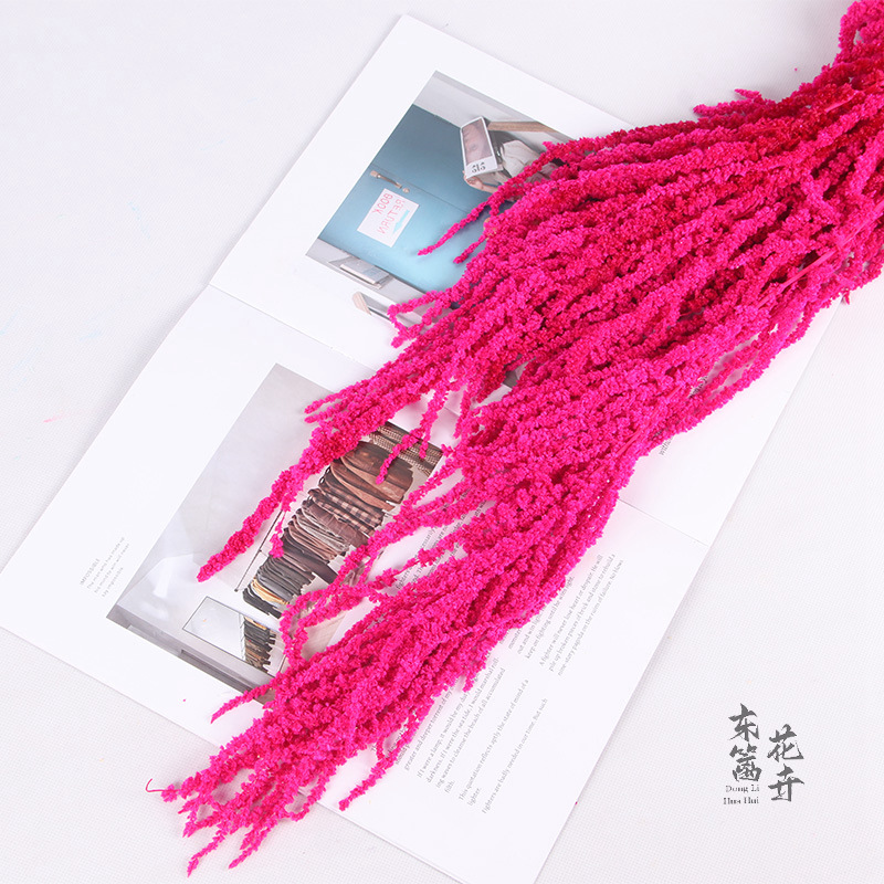 Arroz colgante de vida eterna, flores colgantes de Roulisi, flores reales, flores perpetuas, arreglos florales de boda, decoración de paredes, flores secas tridimensionales al por mayor