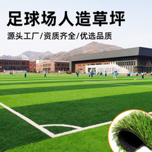 ƺٲƤƺ˹ƤSҾG̺䁵ƺ