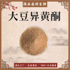 大豆异黄酮 大豆胚芽提取物 大豆异黄酮粉 源头厂家现货供
