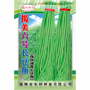 ������̖�L���ǷN�� �߮a�����L������  ���ﲥ�˶��߲˷N��20��