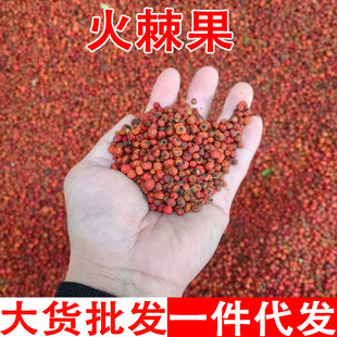 �𼬹� ������  ��ɼ���� �Ǽt��ɼ�� ���������l���l