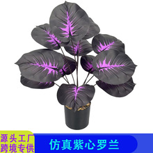 �羳���R�d�������~���_�m������ɫϵ�ͻ�Gֲ�Ҿӿ͏d����辰