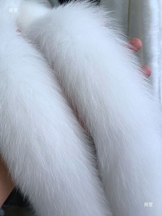 ����ëë�lñ�lëë߅��ë������q��ñ�Ӷ���h������Ƥ���o��