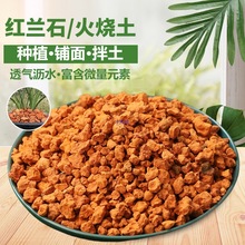 红兰石火烧土颗粒红土兰花植料基石保湿垫底花卉营养土铺面土