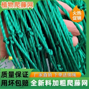 ���uֲ�����پW�Ӵ��S�ϰ�������ϷNֲ���Ѽ܈@ˇ����������o�W
