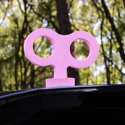 Body sticker and Rabbit Ears Saplings - coil-pink