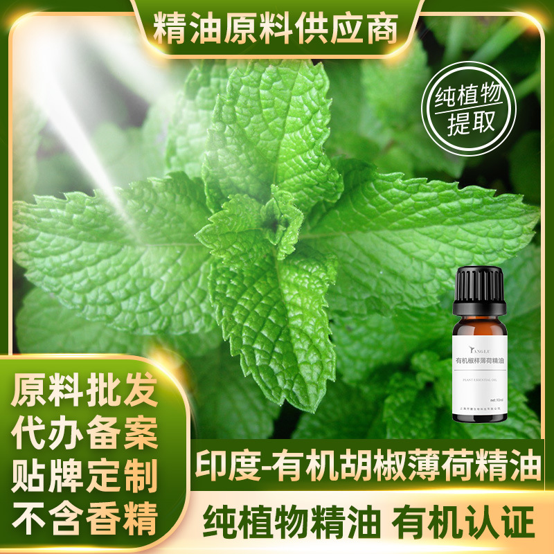 ECO有机胡椒薄荷单方精油 进口原料批发 清凉辛辣绿色草本调