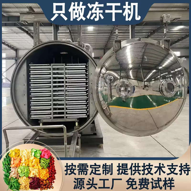 无花果粉冷冻干燥机 工业食品果蔬冻干机 冻干肉猫零食设备商用