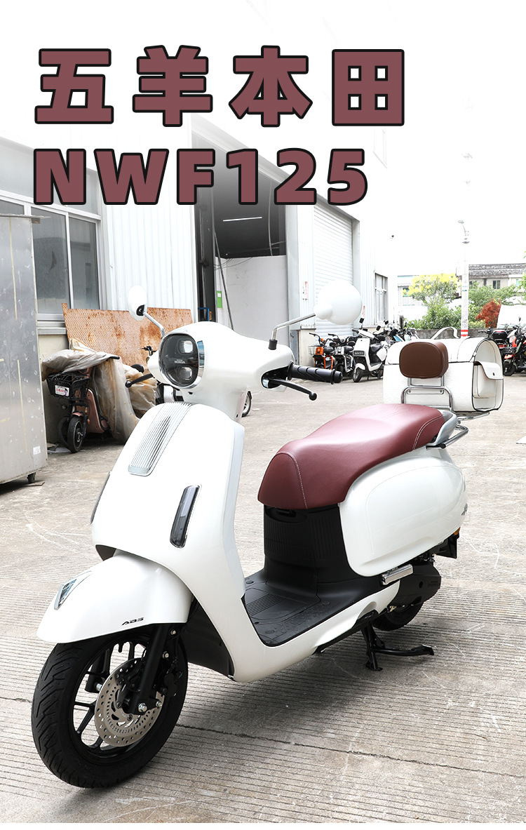 Windshield Suitable for Wuyang Honda Nwf125 Scooter Modification Parts, Front Windshield, Rear Rack, Tail Bag, Tail Box