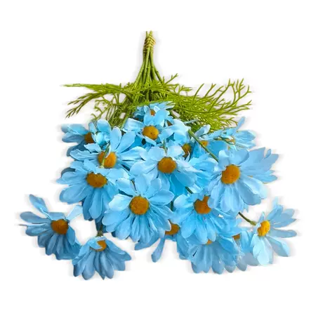 Blue daisy