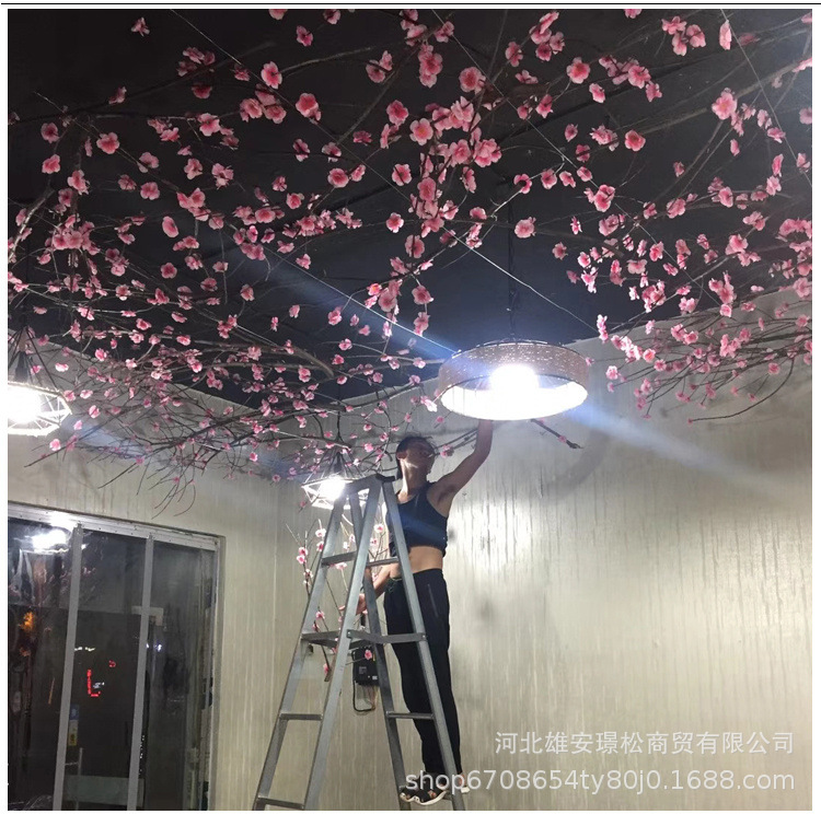 O1CN016RwyAM1T1yX5bdZec_!!7768