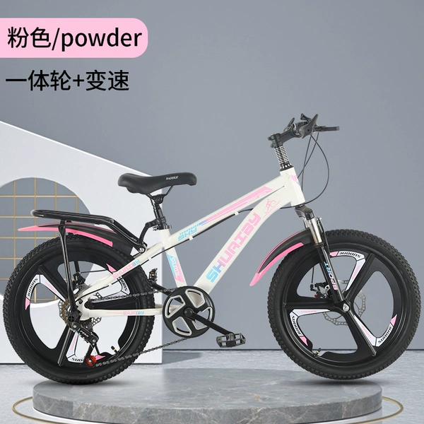 Fuchsia shock-absorbing bike shifter (brake handle) disc brake, basket