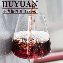 12%vol不老梅酒样品酒光瓶现货酒水饮料批发鲜果发酵水果酒果酒