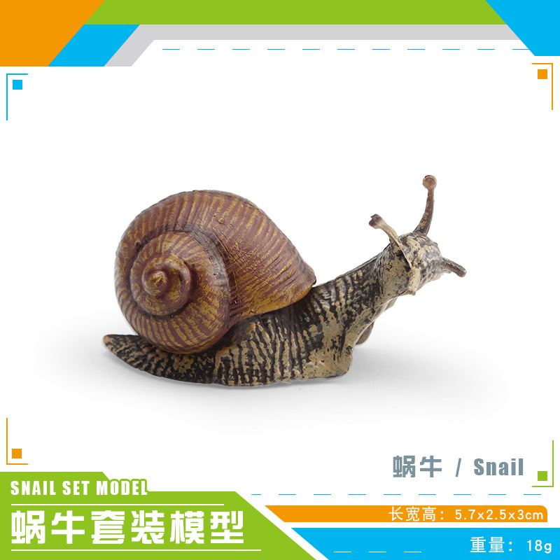 PL127-3759 Caracol 18g