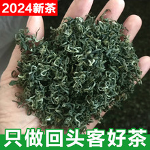 四川峨眉山高山云雾250g炒青绿茶2024新茶毛峰春茶叶散装浓香500g