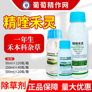 �����Rì���Jé��8.8%��୺��Ͳ˴󶹺̱����s�ݠ����rș���݄�