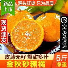 【爆甜爆汁】金秋砂糖橘當季新鮮水果沙糖桔子薄皮蜜橘整箱非愛媛