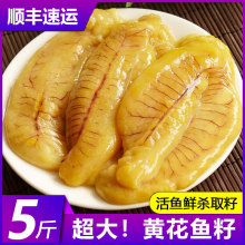 黄花鱼籽新鲜鱼泡鱼子鱼肚鱼白鱼膘鱼杂鲜活海鲜鱼籽冷冻商用