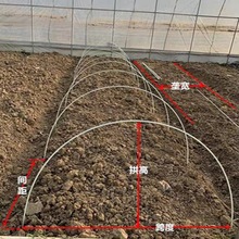 保温棚架子支架骨架小拱棚玻璃钢地膜农用业拱玻纤杆大棚骨架套棚