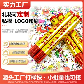 礼花、礼炮;节庆用品;其他