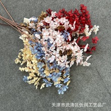 �¿�����O���� ��Y��С������ �Đ����������߼ٻ��b����l