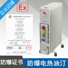 BDN58-1500W9片防爆电热油汀功率1.5KW电压220V防爆电暖气取暖器