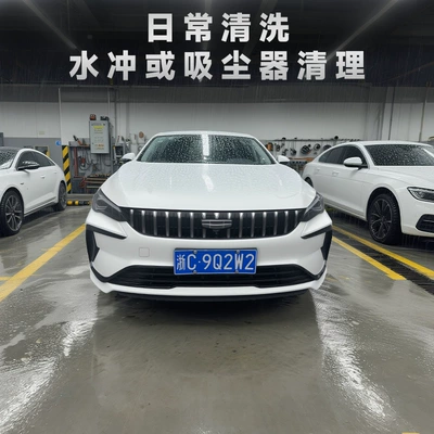 Geely Binrui anti-insect net, Automobile anti-insect net