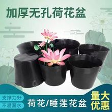 加厚营养杯育苗容器育苗盆营养钵无孔荷花盆专用
