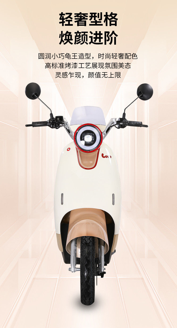 Cross-Border Wholesale of New Adult Electric Vehicles 60V72V, Men's and Women's Electric Scooters with License Plates, Long-Range Electric Motorcycles