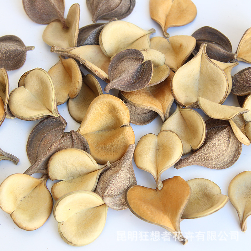 Màu cơ bản của vỏ tình yêu (một túi 20 gam, khoảng 6-8 chiếc)
