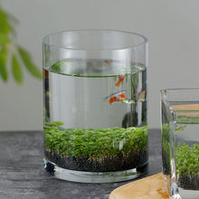 桌面微景缸水缸水培缸生态瓶DIY居家水泥种子籽造景鱼缸包邮