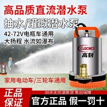 ֱˮ48V60V72Vƿ܇ͨˮС͹ȼrôóˮ