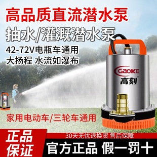 ֱ����ˮ��48V60V72V�ƿ܇ͨ��ˮ��С�͹�ȼ����r�ô��ó�ˮ��