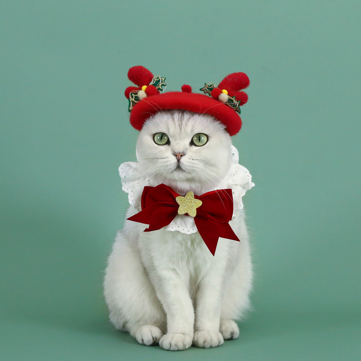 2024 Año Nuevo Navidad lana gorra Beet cuerno de ciervo mascota gato perro tocado de seda de cinco puntas buzo bib