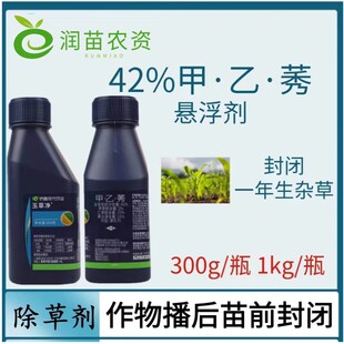 �S����݃����״󽪴�����݄��rș���]����ݬ�ײݰ��Ҳݰ���Ч