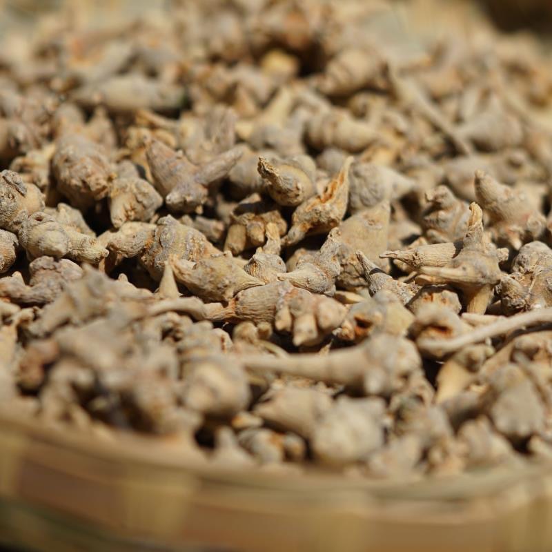 Tibetan Notoginseng Root Chunks Dried San Qi for Traditional Herbal Decoction 50g key features