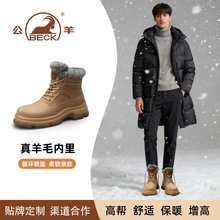 ѩѥ2025¿ӽqůӺЬƤeRѥѥ