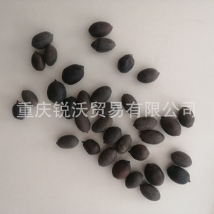 1������ɢ�b������ɏ������ź����ɫɏ���N��ɏ����  �ǷNֲ��