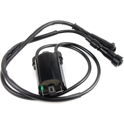 Alovlanma bobini (Babinalar) 30510-mm8-003 for