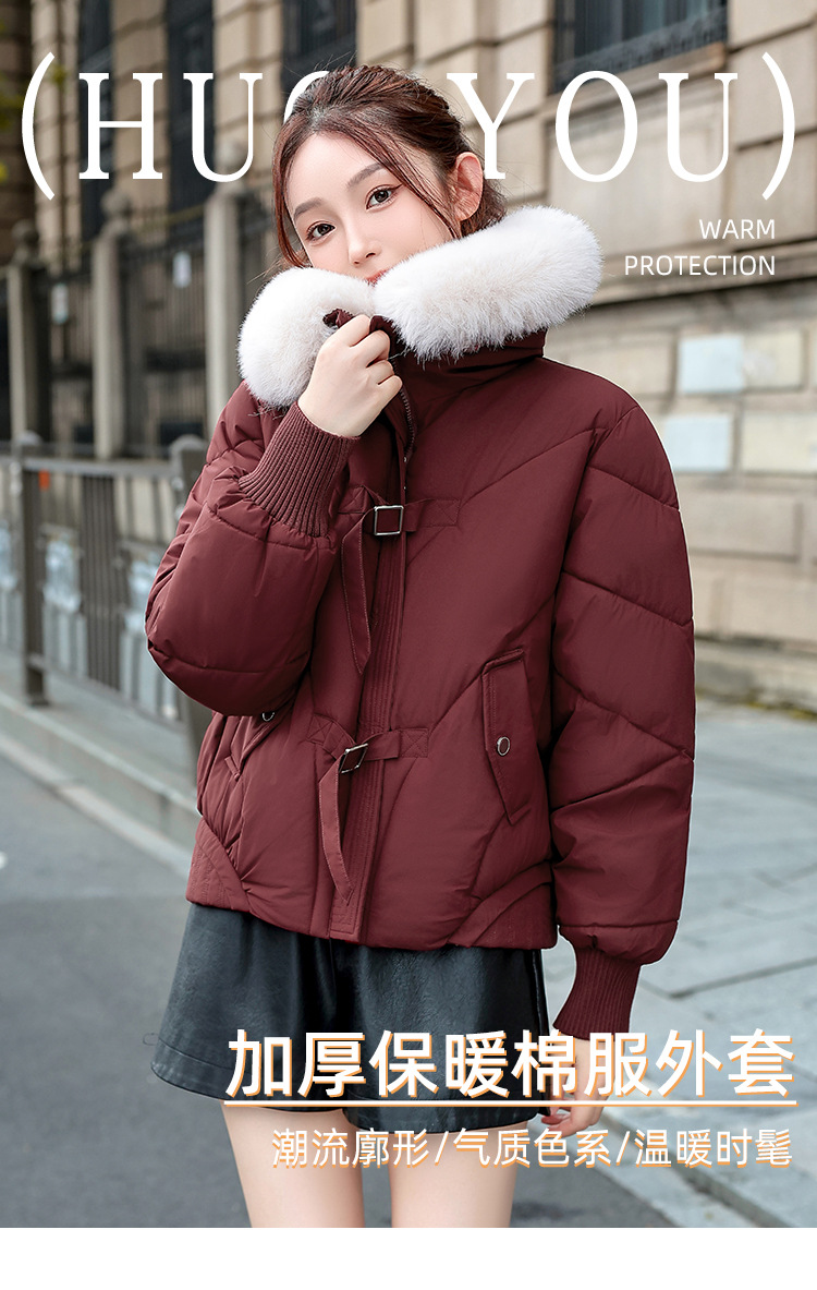 5135_01.jpg