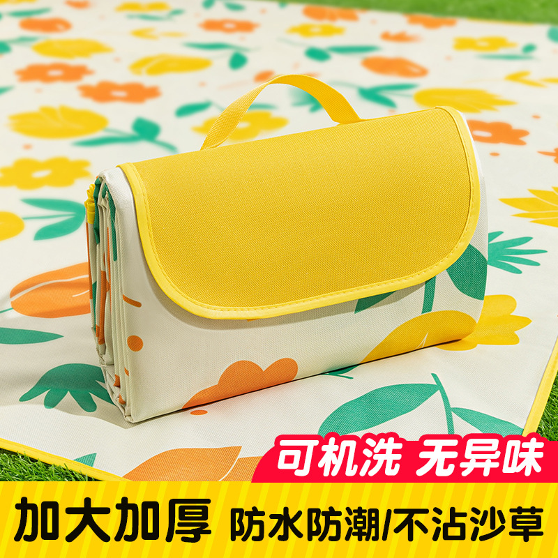 野餐垫防潮垫防水加厚可折叠户外露营音乐节草坪垫子帐篷沙滩地垫