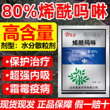 80%ϩ˪ù߲ܛ߲ù߲ș˪ù߲ș