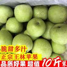 �����O���Fժ���������ЋD���rˮ����ɭ���O���r�����O������10��